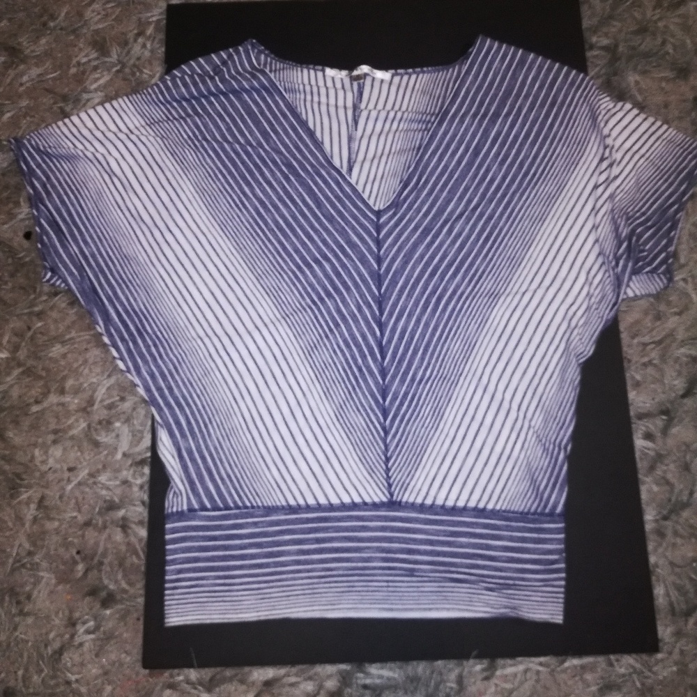 Max Studio Blue & White V-Neck Top